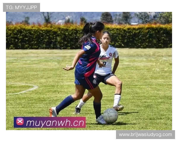 九游网站入口官网官方入口地址查询及登录流程详细解析 九游网站入口官网官方入口地址查询及登录流程详细解析