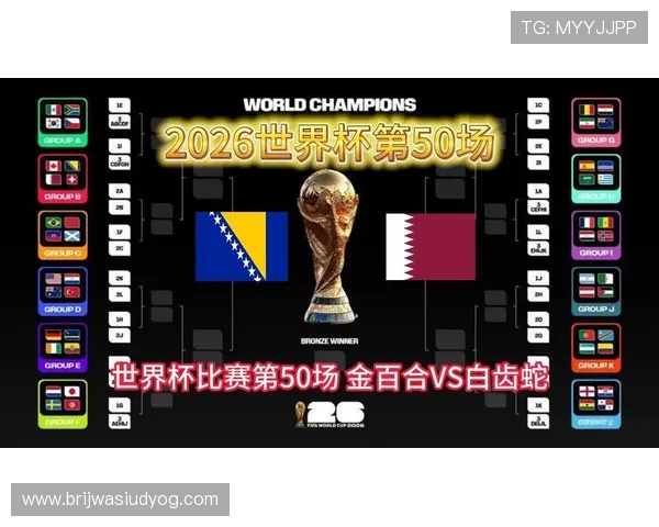 世界杯波黑对阵卡塔尔比赛门票价格详尽分析与购买指南